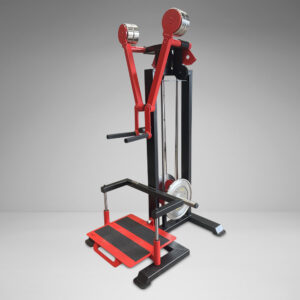 Standing Lateral Raise