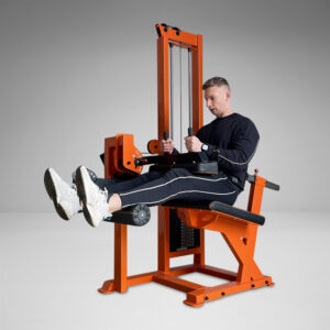 Seated Leg Curl