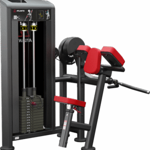 Biceps Curl