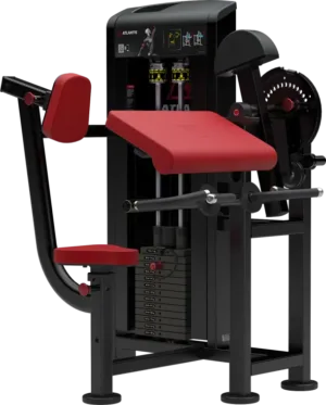 Biceps-Triceps Combo Machine