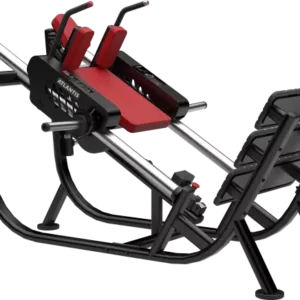 Hack Squat