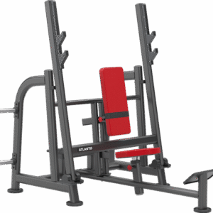 Shoulder Press (With Pivot)