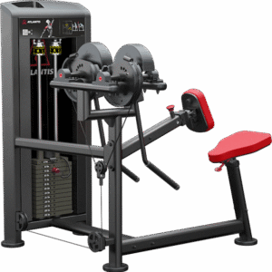 Seated Side / Rear Deltoid