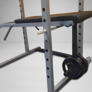 Power Rack Reverse Hyper Extension