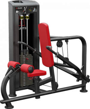 Triceps Pushdown (T163)