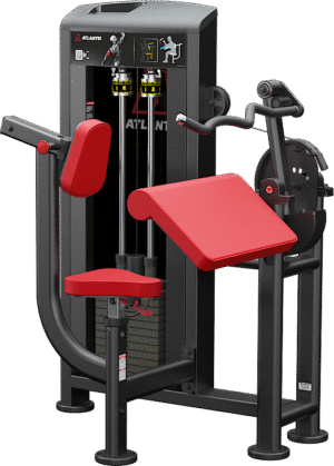 Triceps Extension