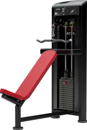 Incline Triceps Pushdown