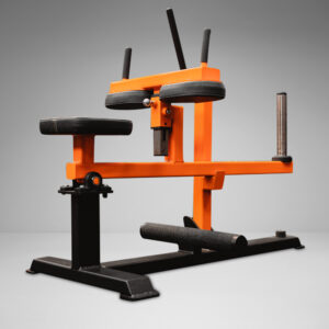 Seated Calf Raise