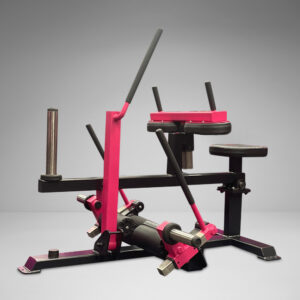 Seated Calf/Tibia Raise
