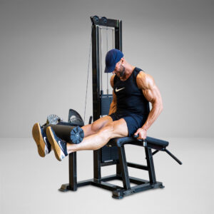 Leg Extension/Lying Leg Curl