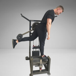 Multi-Hip