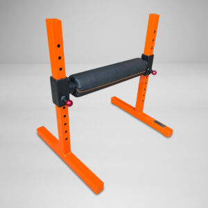 Single Leg Squat Stand