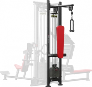 Triceps Pulley