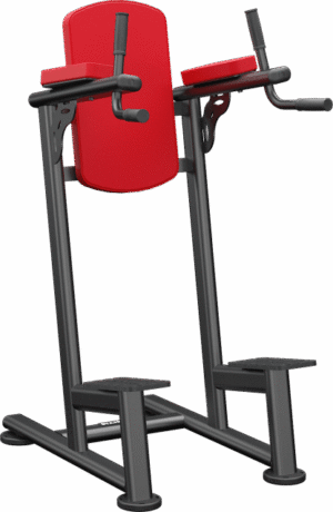 Standing leg raise