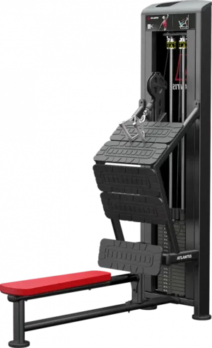 Incline Row (D132 Model)