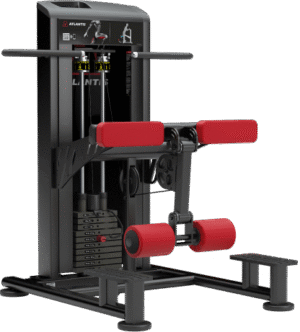Atlantis Standing leg curl