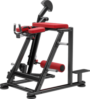 Reverse Hyper Extension