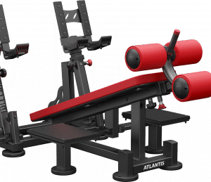 Decline dumbbell bench with pivots