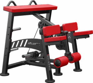Kneeling Leg Curl (PW218)