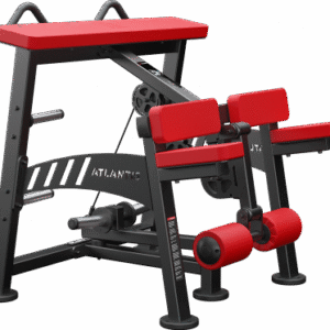 Kneeling Leg Curl