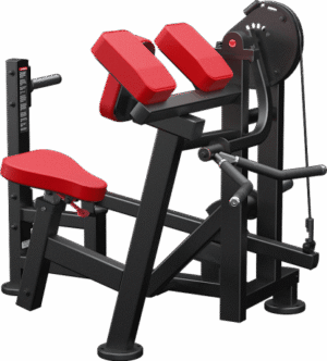 Preacher Curl