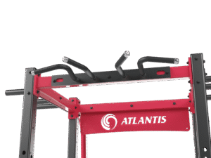 Four Handle Pull-Up Bar (Standard Include)