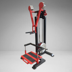 Plate Loaded Standing Lateral Raise